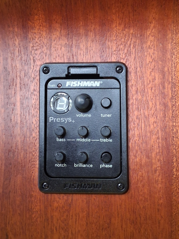 Spector Timbre TB-4 Akkustik Bass, massive Fichtendecke, Tonabnehmer, gebraucht